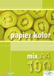 Papier xero A4 mix 100 ark KRE SKA